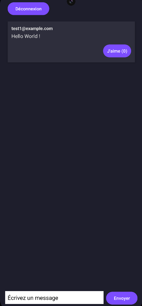 Capture d'écran de l'application de chat